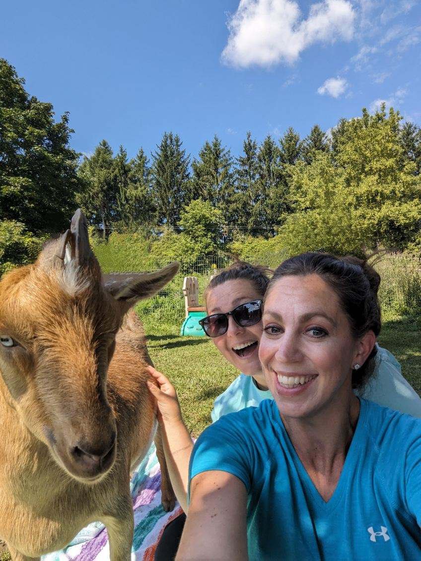 Tressa Collini tweet media