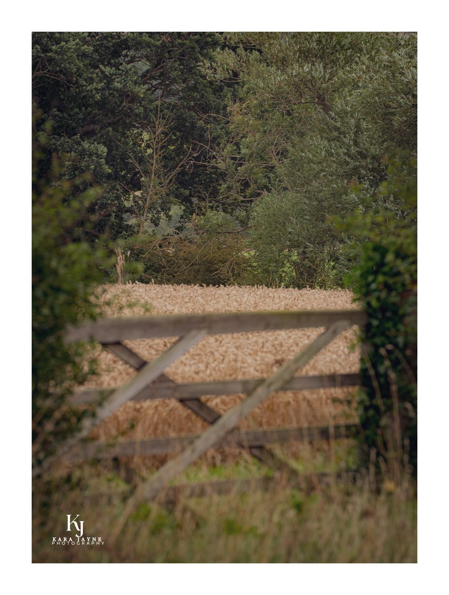 The gate too….. #landscapephotography #Lincolnshire #lincolnshirewolds #lincolnshirelife #lincolnshirephotographer