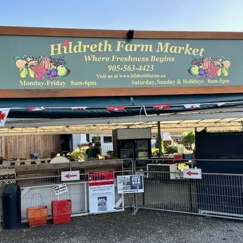 Terry Fox Run: St. Catharines tweet media