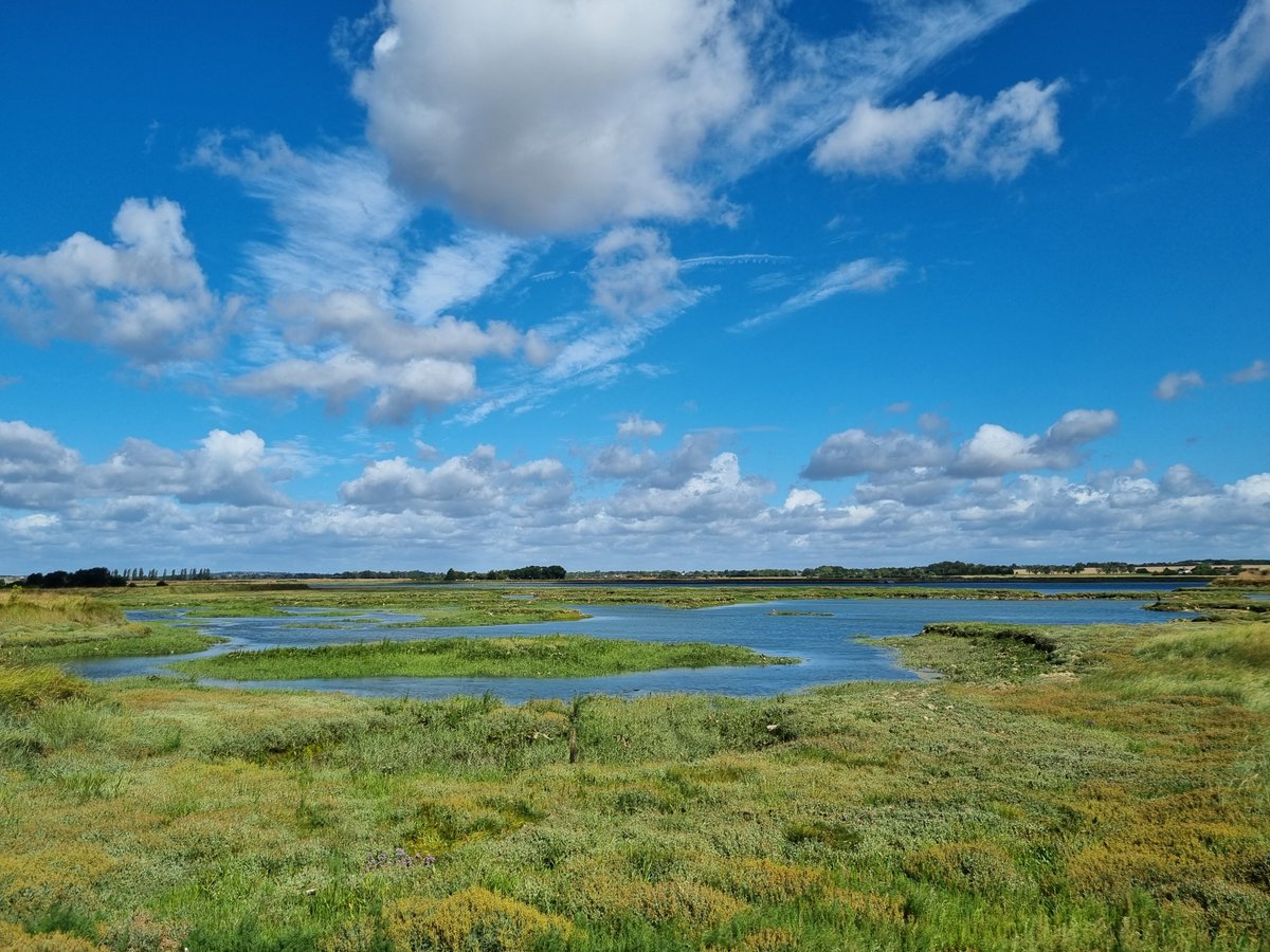 DavidHurst tweet media