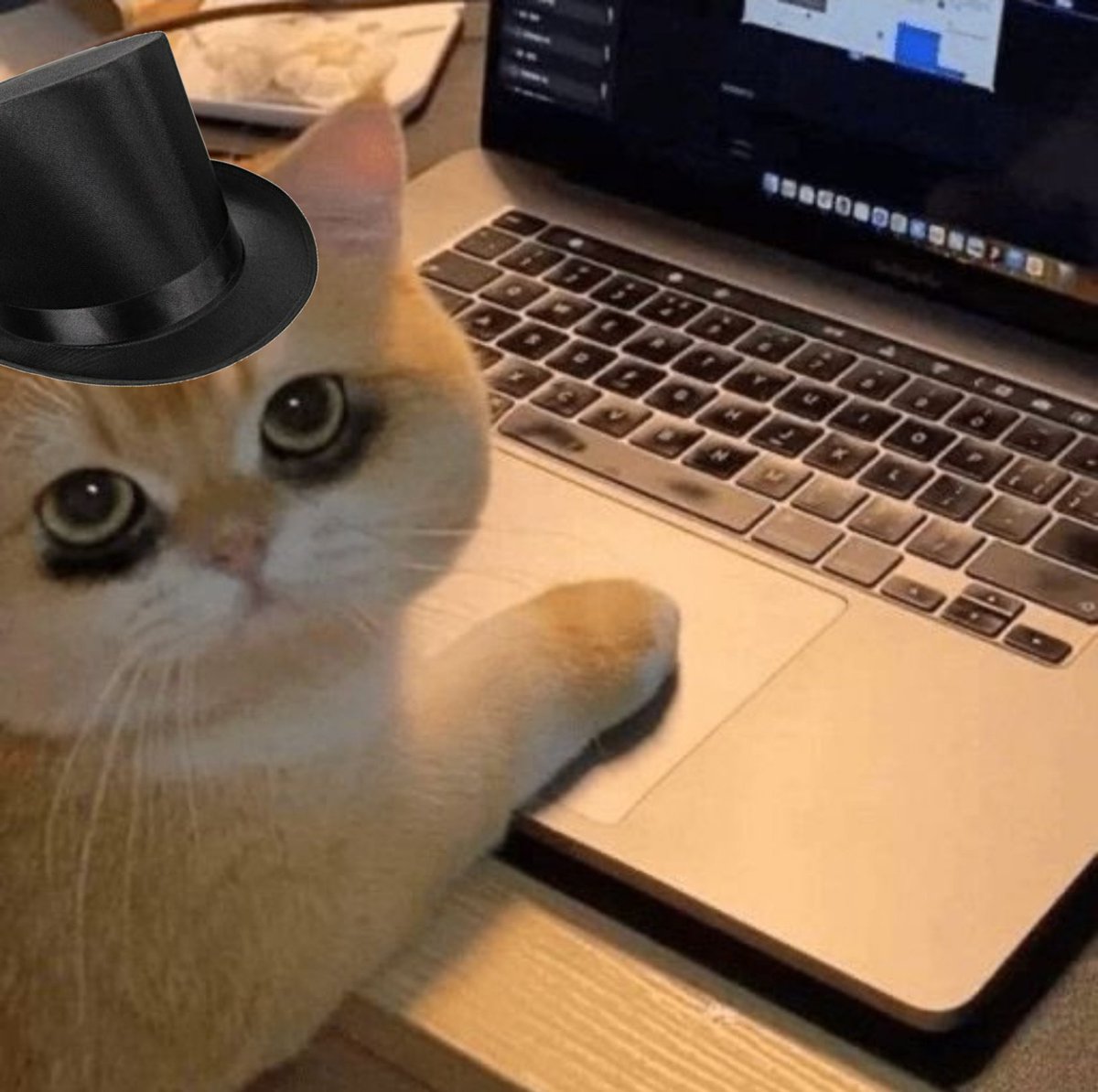 TophatON's tweet photo. @catpicsdealer Give the cat a break! https://t.co/Q3sYOt47TY