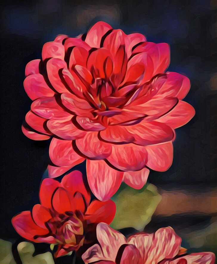 halfcentproject's tweet image. This edit of the red flowers is closer to the original, but it still has oil painting effect. I might switch to this for background wallpaper. #redflowers #aoundthehouse #jonlh #jonathanlhall