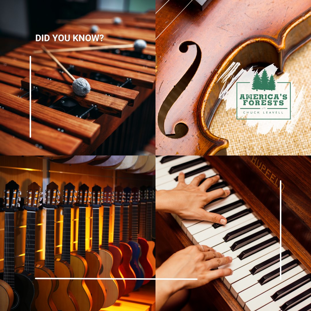 americasforests's tweet photo. Today is #UncommonInstrumentsAwarenessDay
Without wood, we’d be without so many instruments! During our CO episode, @ChuckLeavell visited Hideaway Studios to enjoy instruments like the Cajon Drum Box.
Ep. 2! 🔗 https://t.co/USH5vfhQeu https://t.co/bwTK07EhZ6