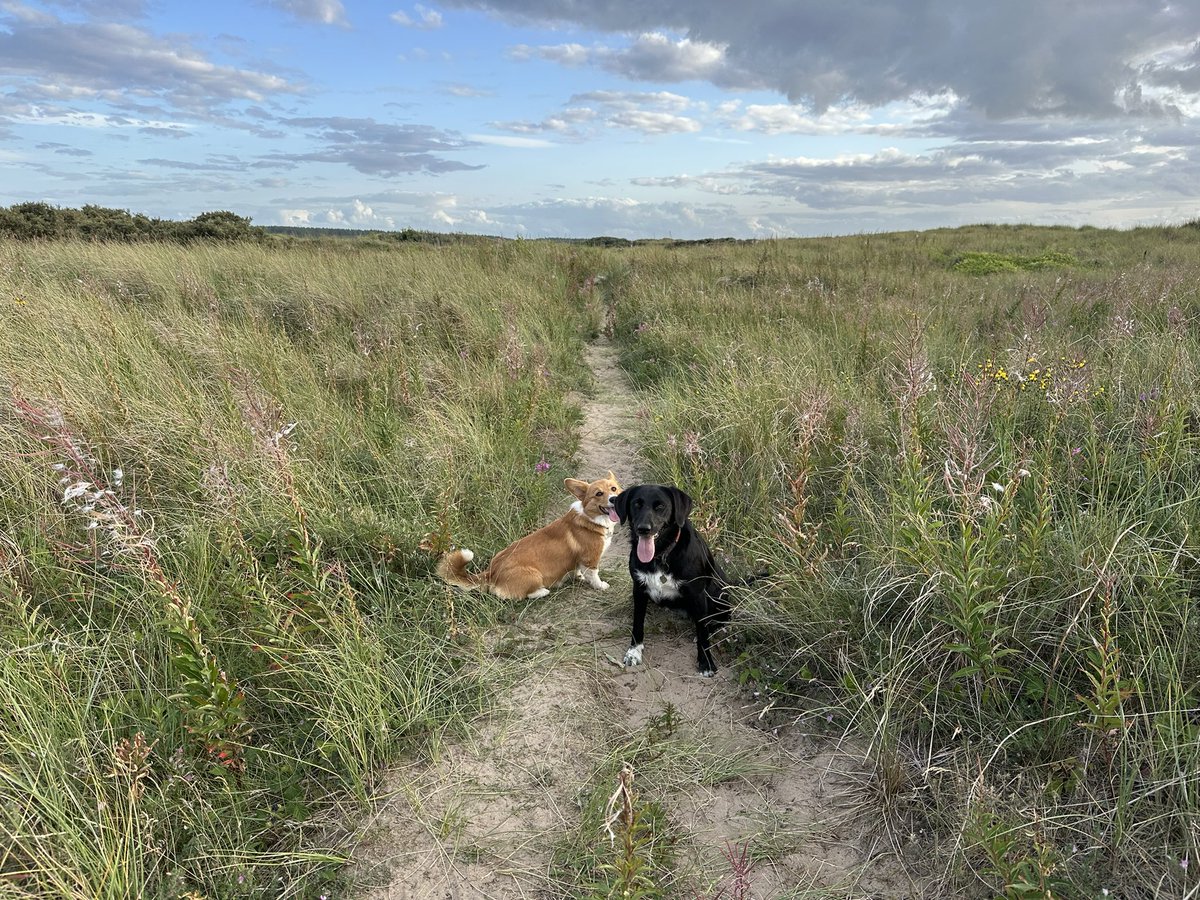 LucyBray9's tweet photo. 83 #NH1000miles walked this week. Loved having some annual leave to allow more time to wander by the 🌊 with lovely company!
Looking forward to seeing everyone’s active pics and the #ActiveNurses challenge next week 🥰 https://t.co/fqAHk9oBA6