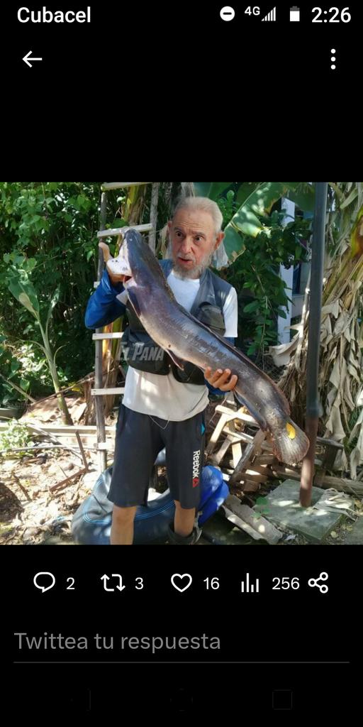 CP880629's tweet photo. @ElNecio_Cuba te as ganado tu regalo tómelo https://t.co/18Mt7E30HQ