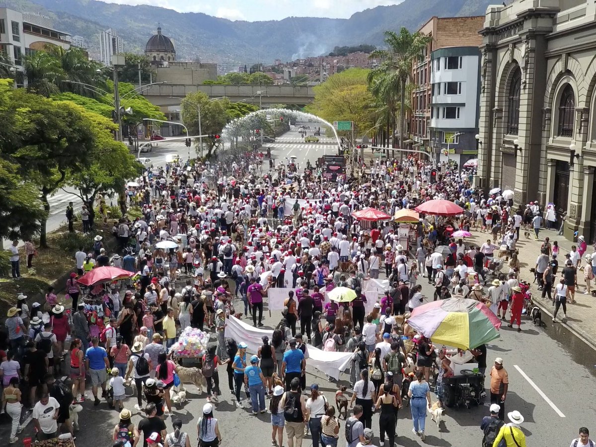 AlcaldiadeMed's tweet photo. Los peludos también se gozan la #FeriaDeLasFlores2023.

Acompañamos la Caminata Canina y de Mascotas de @TIERRAGRO 🐾🐶🐕🦮🐕‍🦺. 

Un espacio de convivencia  para compartir con nuestros peludos 🐶 y disfrutar de un encuentro de ciudad 🌷. https://t.co/FoUyoRouwx