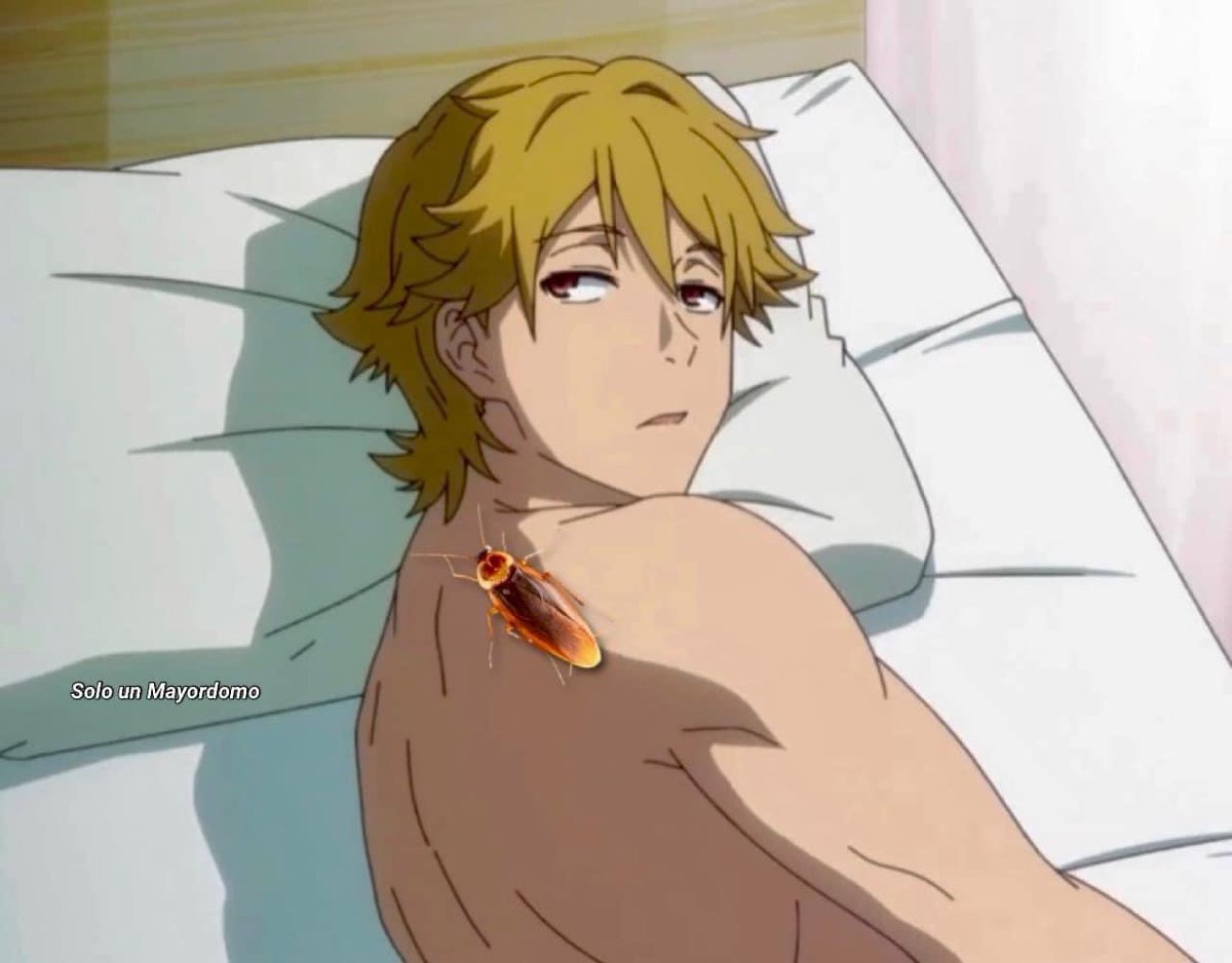 ElJeringasLoko's tweet image. cuando estoy durmiendo y enciendo la luz para ver quien me acaricia