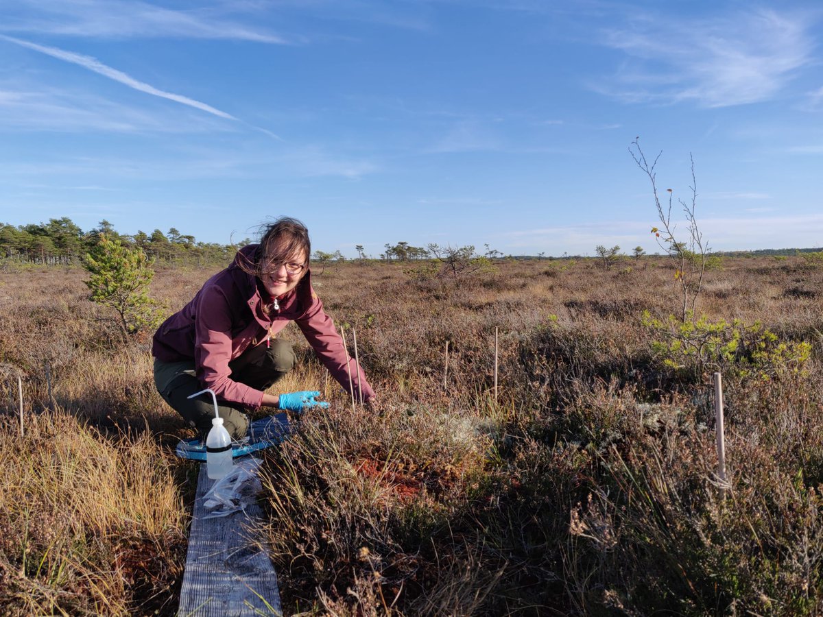 @NL_Wetenschap (@nl_wetenschap) on Twitter photo Aangenaam kennis te maken, ik ben Janna (<a href="/JannaBarel/">J M Barel 🟥</a>). Als bodemecoloog werk ik als post-doc onderzoeker bij de afdeling aquatische ecologie en milieubiologie (<a href="/RuAeeb/">AEEB_RU</a>) <a href="/Radboud_Uni/">Radboud University</a>.
Dit bericht komt vanuit Letland 🇱🇻, want deze week neem ik jullie mee op veldwerk door Europa! Aangenaam kennis te maken, ik ben Janna (<a href="/JannaBarel/">J M Barel 🟥</a>). Als bodemecoloog werk ik als post-doc onderzoeker bij de afdeling aquatische ecologie en milieubiologie (<a href="/RuAeeb/">AEEB_RU</a>) <a href="/Radboud_Uni/">Radboud University</a>.
Dit bericht komt vanuit Letland 🇱🇻, want deze week neem ik jullie mee op veldwerk door Europa!