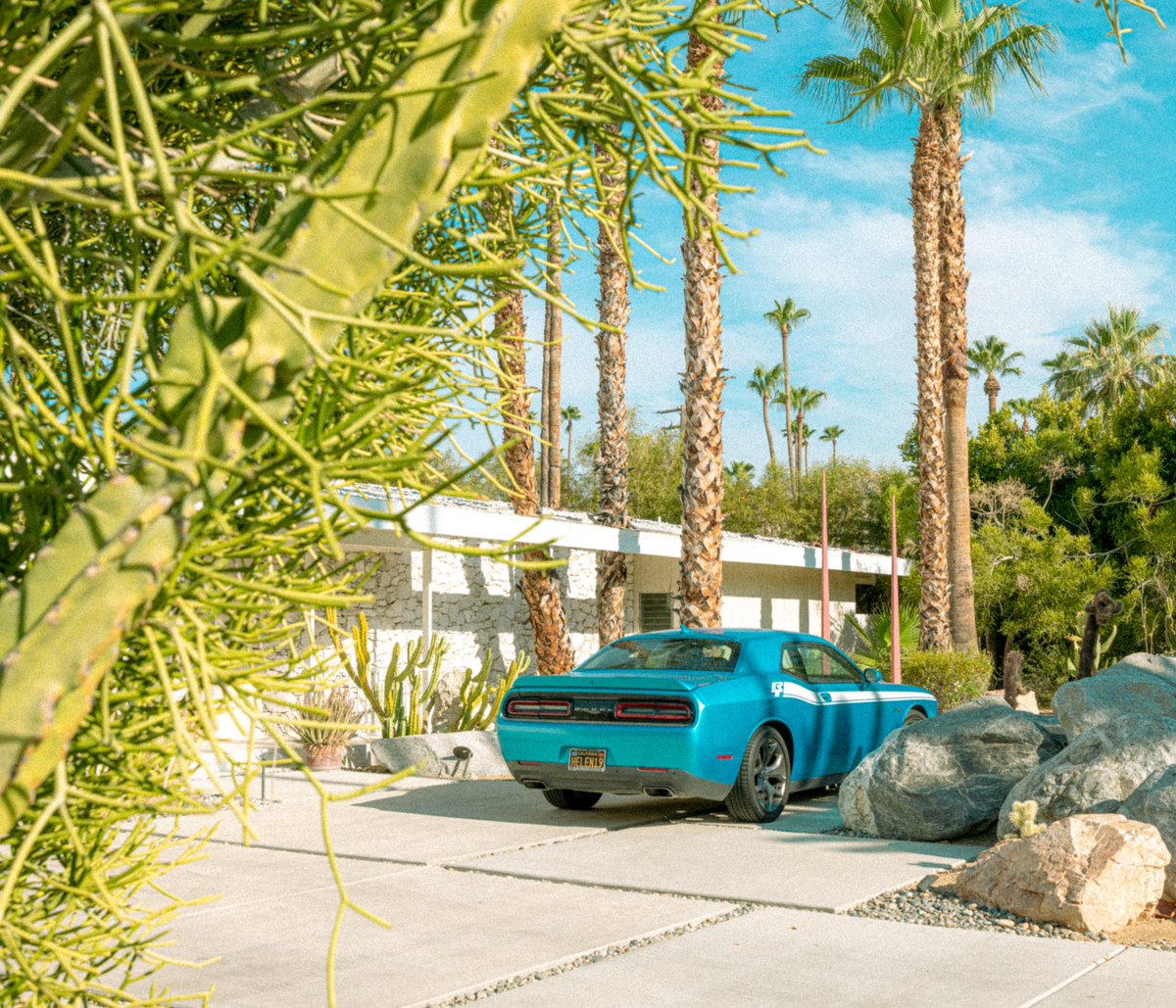kyler_steele's tweet photo. summertime in palm springs https://t.co/fSyTVQpGb0