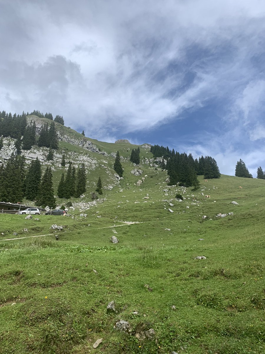 NILO_co's tweet photo. Es war einer wandern Tag !
Sehr schön und es gab viele nette Kühe 🐄❤️
#1800m
#rotwand #spitzing #wandern #ドイツ暮らし https://t.co/gTVMuMM4Uo