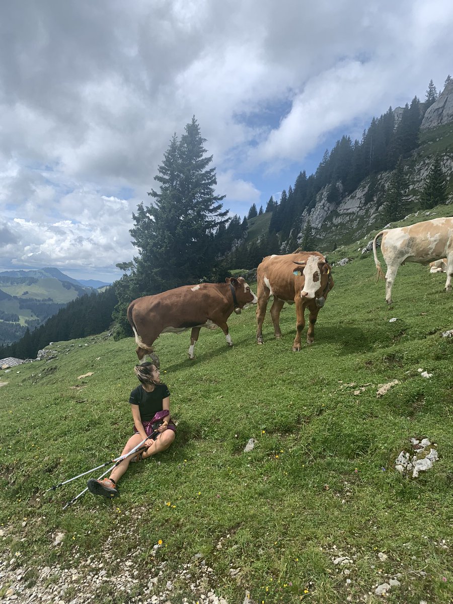 NILO_co's tweet photo. Es war einer wandern Tag !
Sehr schön und es gab viele nette Kühe 🐄❤️
#1800m
#rotwand #spitzing #wandern #ドイツ暮らし https://t.co/gTVMuMM4Uo