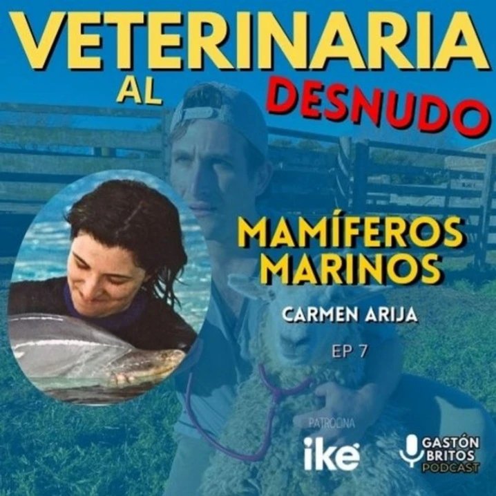 SeaWolvesSpain's tweet photo. Nos complace compartir con vosotros el capítulo del podcast "Veterinaria al Desnudo" de Gastón Britos en el que ha participado nuestra directora Carmen Arija y que se dedica a los Mamíferos Marinos.
Os dejamos el enlace y esperamos que lo disfrutéis!
https://t.co/sVnE9xs7hX https://t.co/oIXUTkij8B