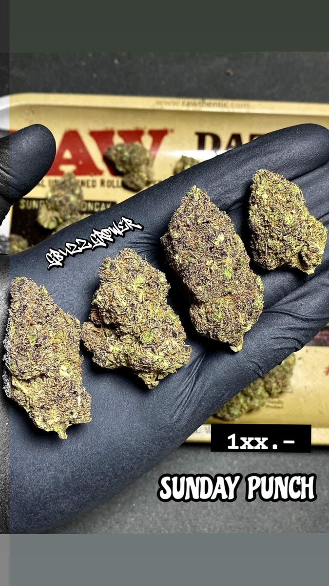 buzzthx999's tweet photo. สายนี้ห้ามพลาด 🍑

ติดต่อสอบถาม 👇
Facebook : GBuzz Grower 
Line https://t.co/bxDDc9lOIj

#bangkokweed #aisล่ม #โกดังพลุระเบิด #กัญชา #กัญชากรุงเทพ #กัญชาลาดพร้าว #กัญชาog #weedThailand #ThaiGrower #สายเขียว #ราคาถูก #โล๊ะของ #รัชดา #ไฮ #ไฮดีด #กัญชาใกล้ฉัน #กัญชาราคาส่ง #มีนบุรี https://t.co/fREDcOBmDr