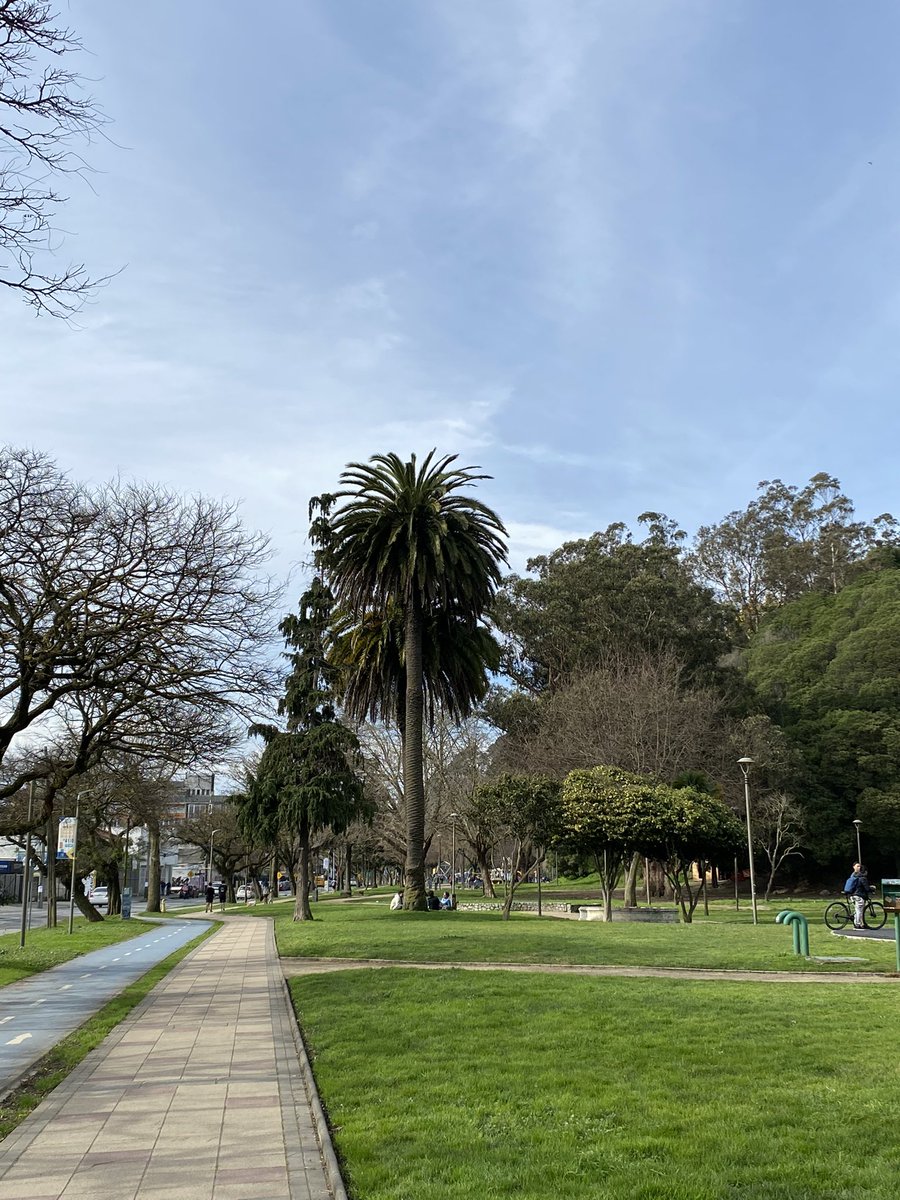 SiraMoran's tweet photo. Que bello es nuestro #ParqueEcuador https://t.co/hmDyLZHI1i