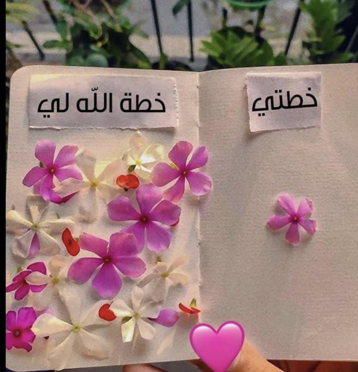 ﴿قُل لَن يُصيبَنا إِلّا ما كَتَبَ اللَّهُ لَنا هُوَ مَولانا وَعَلَى اللَّهِ فَليَتَوَكَّلِ المُؤمِنونَ﴾

🤍.