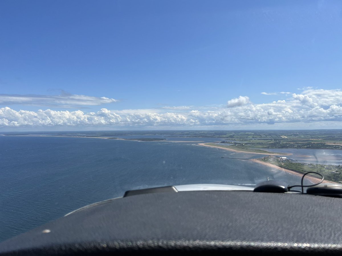 Trevor Jain tweet media