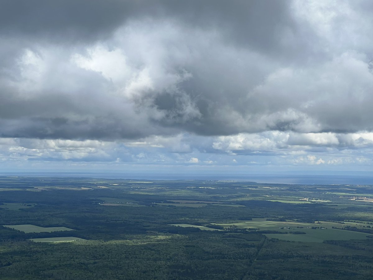 Trevor Jain tweet media