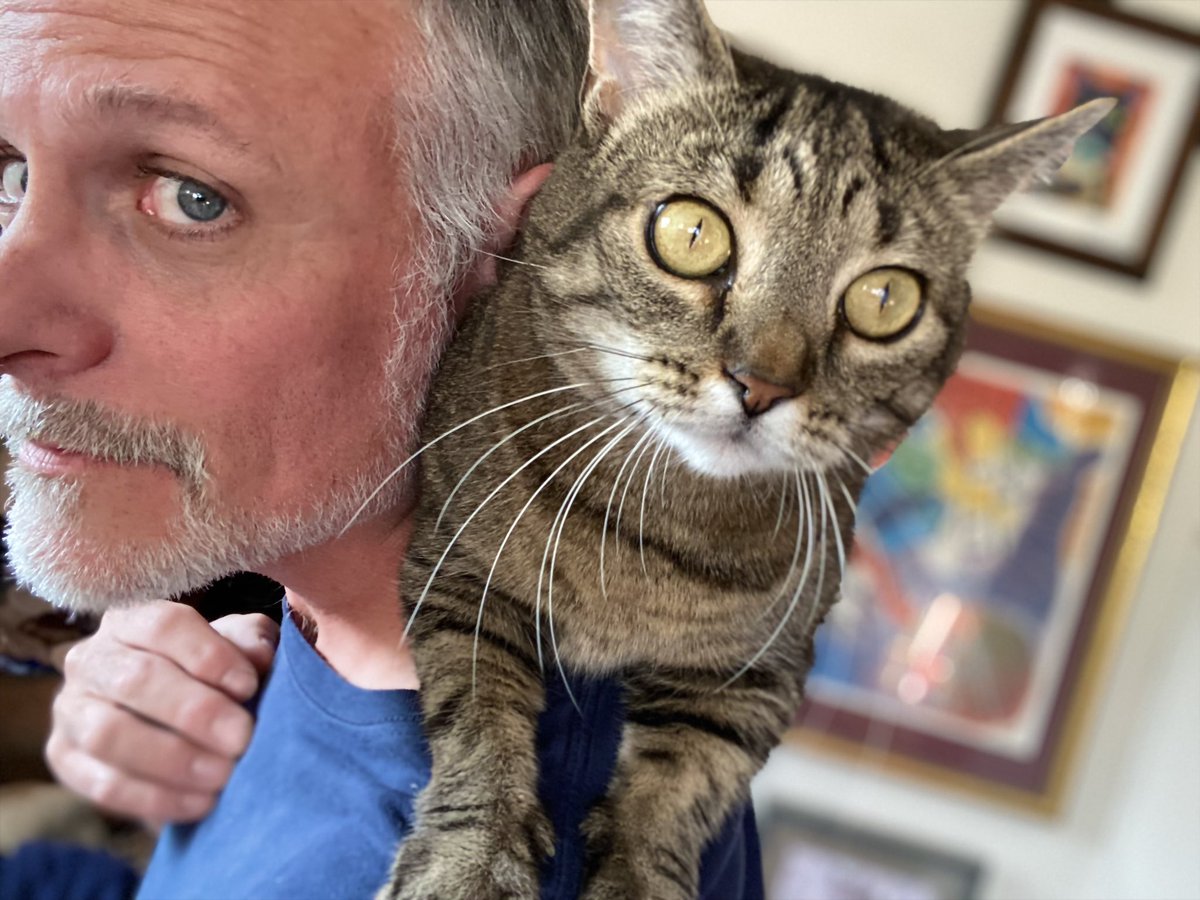 HopefullyDan's tweet image. Just posting something to mark history that I did indeed once “tweet” a picture of my cat perched upon my shoulder.