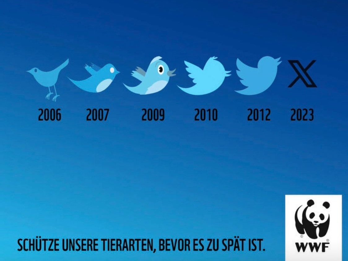 Kuş ölür, sen uçuşu hatırla...
#TwitterX #TwitterBird