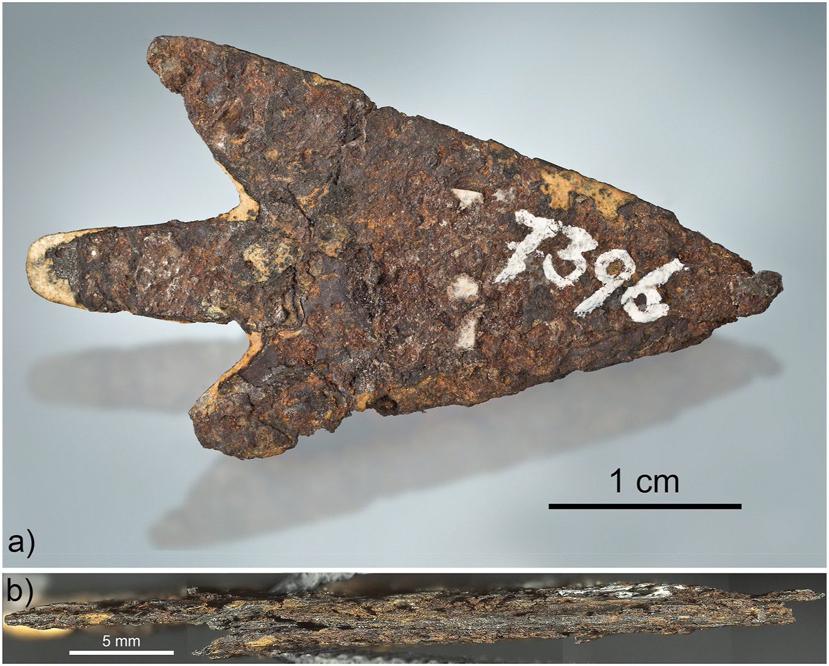 New analysis reveals: an arrowhead found in the 19th Century in the late #BronzeAge (900–800 BCE) lake dwelling of Mörigen, Switzerland, was made of meteoritic iron. The Kaalijarv #meteorite, Estonia, is proposed as a possible source of the iron.

sciencedirect.com/science/articl…