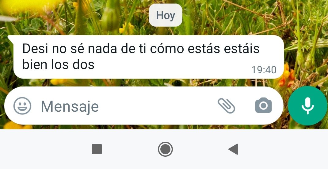 Desicaved_13's tweet photo. Mi mamá pregunta indirectamente por el perro, pero primero intenta disimular. La quiero mucho https://t.co/dNOLThJ5ta