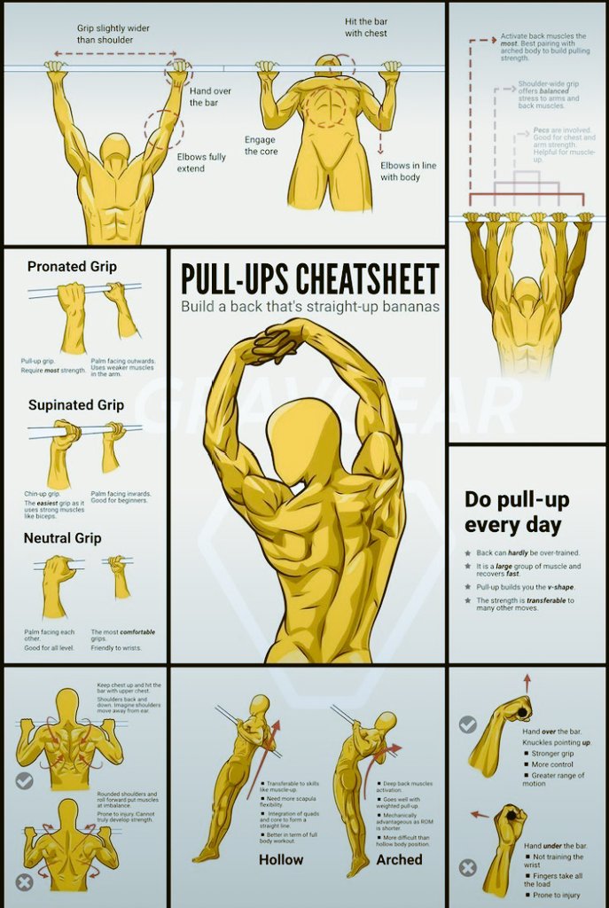 Masculine_Pulse's tweet photo. Pull-Ups Cheatsheet: https://t.co/lc5sa2095k
