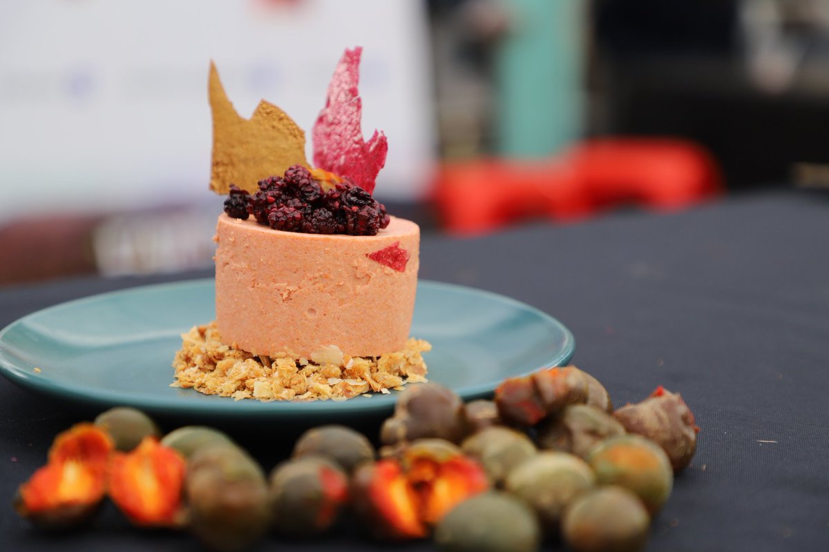 AlexFMartos's tweet photo. 🌄 GASTRONOMÍA NOVO-CAJAMARQUINA: "Mousse de Cansaboca"
Postre preparado con una base de masa hojaldrada, mousse de cansaboca (frutos de San Ignacio) con relleno de mora. Acompañados con papel de poro poro y mora, recubiertos de jalea de los mismos frutos nativos. ¡UNA DELICIA! https://t.co/imYxBz1BBc
