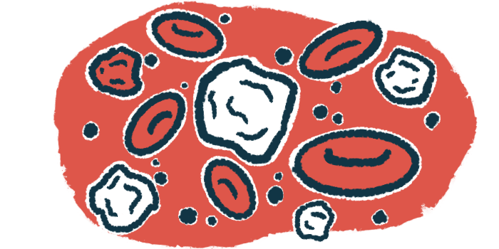 MSNewsToday's tweet photo. New study findings provide a proof of concept for how gut bacteria activate immune cells that trigger the inflammatory attack that causes MS. https://t.co/S5W4f9YEmF #news https://t.co/Jl4BdgkKGi