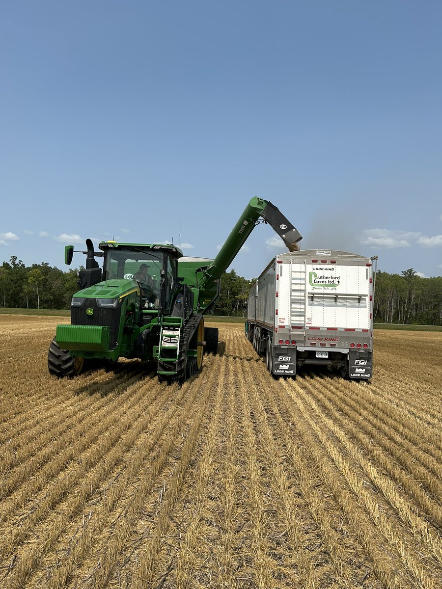 Emily Laudin tweet media