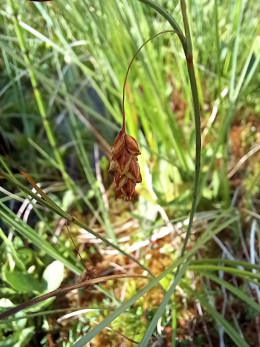 Neil Forbes tweet media