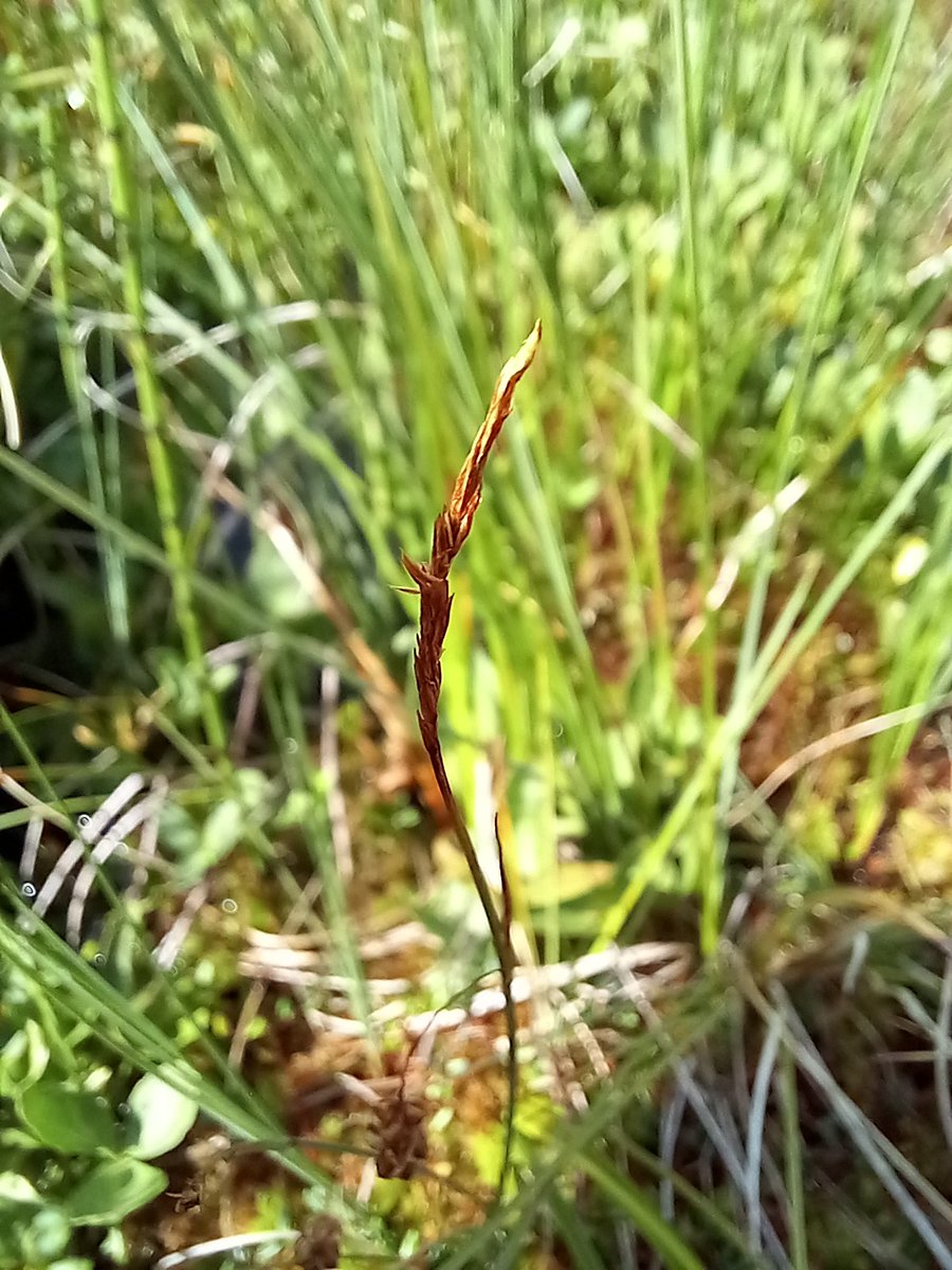 Neil Forbes tweet media