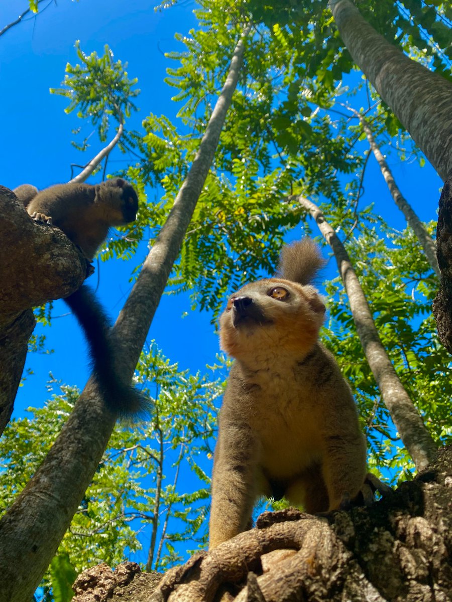 qlques clichés photos que j’ai pris à Madagascar :) 🇲🇬
