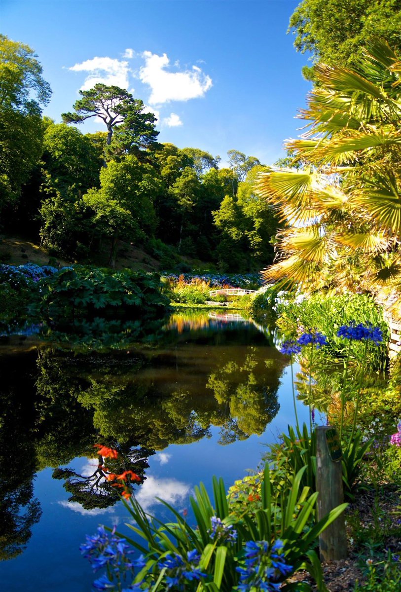 Trebah Garden #Cornwall