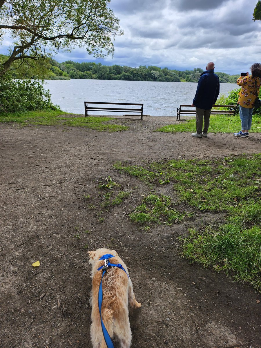 Perfect Sunday... Long walks, ice cream & a Hunters chicken dinner 🫶💗 #Mindfulness #slimmingworld #naturewalks #nature #penningtonflash #relax #weekendvibes #busyweekend #fulfilment #Sunday #sundaywalk