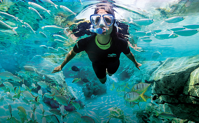 Celebrate World Snorkling Day by planning a trip to Orlando! 🐡 🐠 You can get there quickly and affordably from ROC, nonstop on @SpiritAirlines. Book today at spirit.com. #ROCairport #FlyROC 📍 Discovery Cove