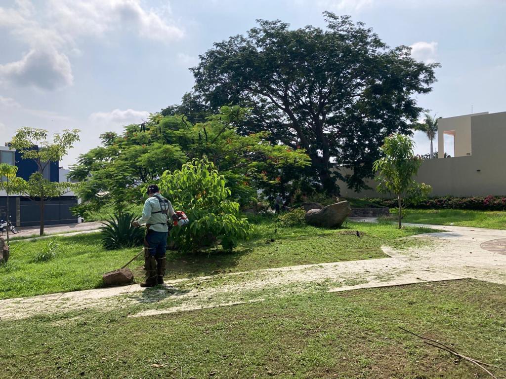 ColimaMunicipio's tweet photo. ¡Todos los días poniendo #ManosALaObra en la atención de tus espacios públicos!
Pusimos #TusImpuestosTrabajando en la colonia #LaCantera para tener el #ColimaLimpio que mereces. https://t.co/P0uZYXaxaK