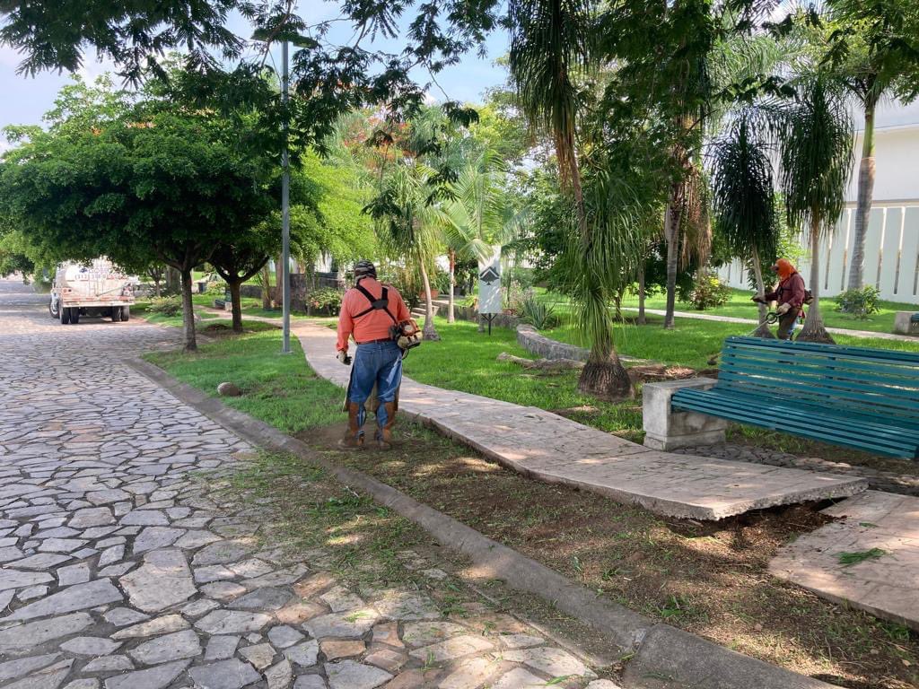ColimaMunicipio's tweet photo. ¡Todos los días poniendo #ManosALaObra en la atención de tus espacios públicos!
Pusimos #TusImpuestosTrabajando en la colonia #LaCantera para tener el #ColimaLimpio que mereces. https://t.co/P0uZYXaxaK
