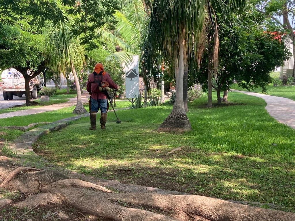 ColimaMunicipio's tweet photo. ¡Todos los días poniendo #ManosALaObra en la atención de tus espacios públicos!
Pusimos #TusImpuestosTrabajando en la colonia #LaCantera para tener el #ColimaLimpio que mereces. https://t.co/P0uZYXaxaK