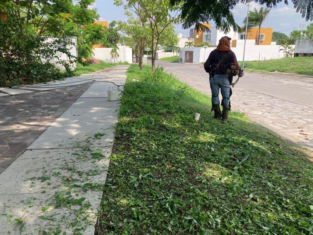 ColimaMunicipio's tweet photo. ¡Todos los días poniendo #ManosALaObra en la atención de tus espacios públicos!
Pusimos #TusImpuestosTrabajando en la colonia #LaCantera para tener el #ColimaLimpio que mereces. https://t.co/P0uZYXaxaK