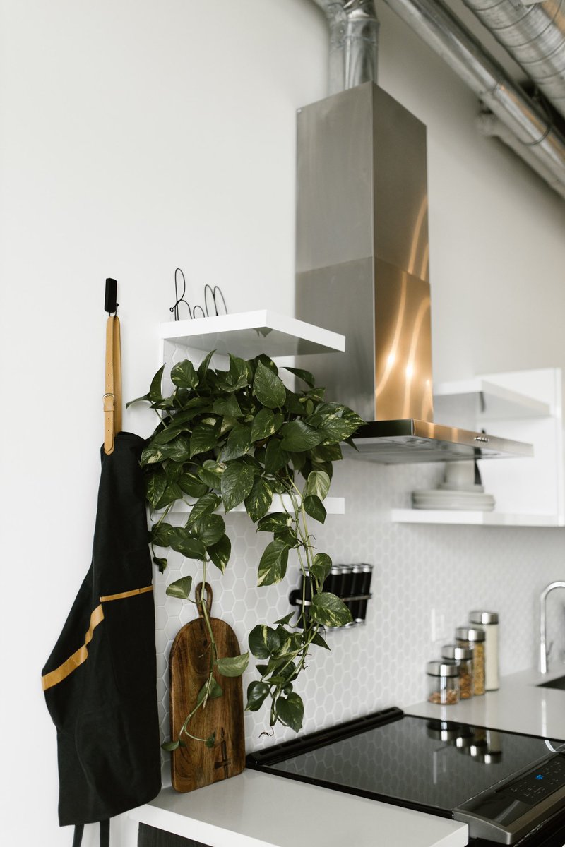 LinaMar17691969's tweet image. Kitchen interior design ✨👩🏽‍🍳

As you know I love cooking and I love it even more when my kitchen looks great 🙌🏼😍 

#kitchen #kitcheninteriordesign #interiordecor #interiordecoration #interiorinspo #inspo #kitchendetails #interiors #inspo #homesweethome #homedecoration #homeinspo