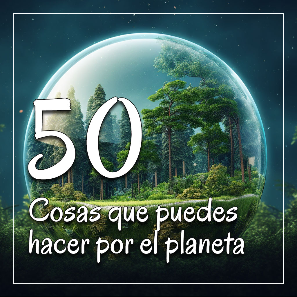 Fundacion Ecodiversa tweet media