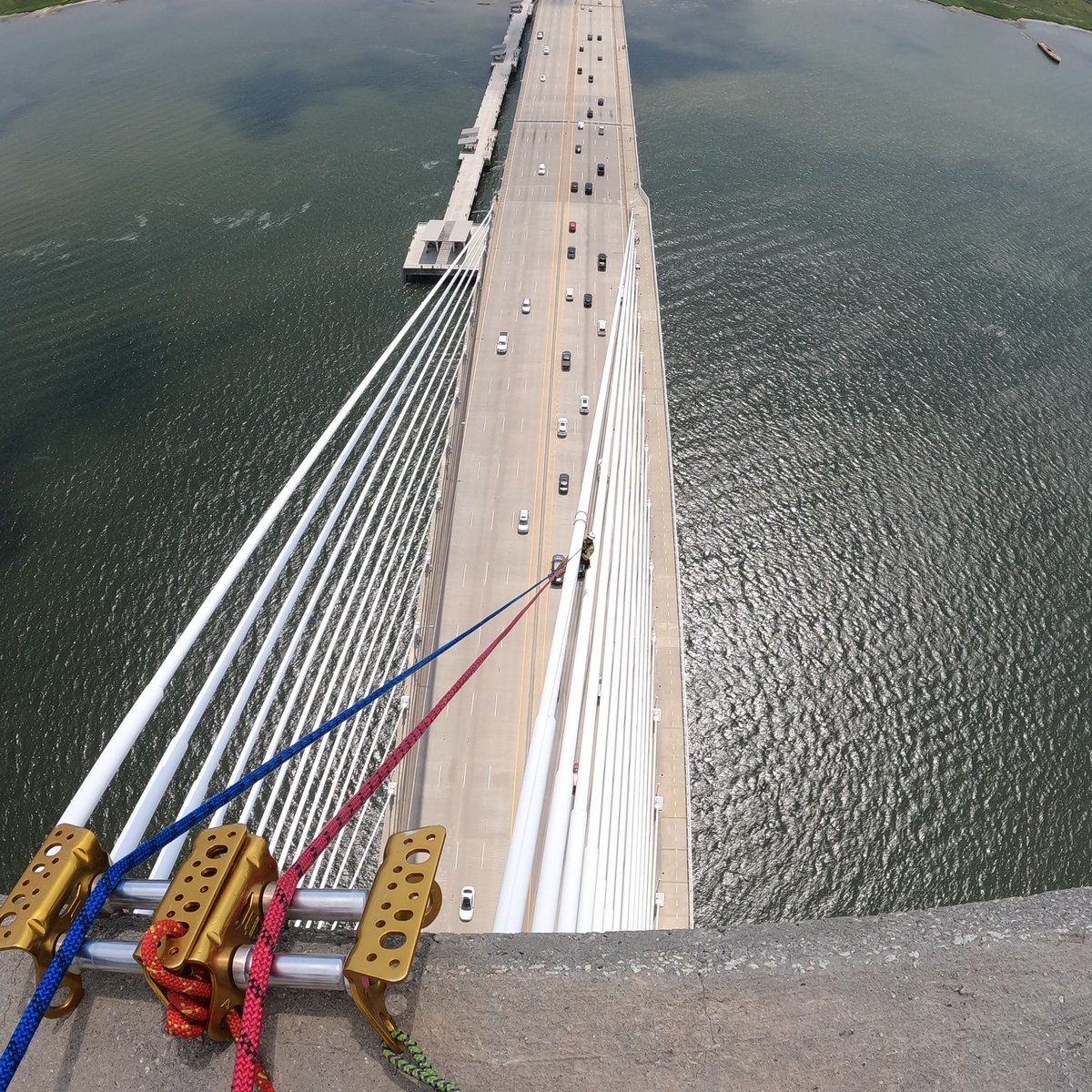 elevatedsafety's tweet photo. East Coast cable-stayed bridge inspection day ops!

#sprat #ropeaccess #petzlprofessional #harkensafetyrescue #cmcpro https://t.co/GydNC7pbx5