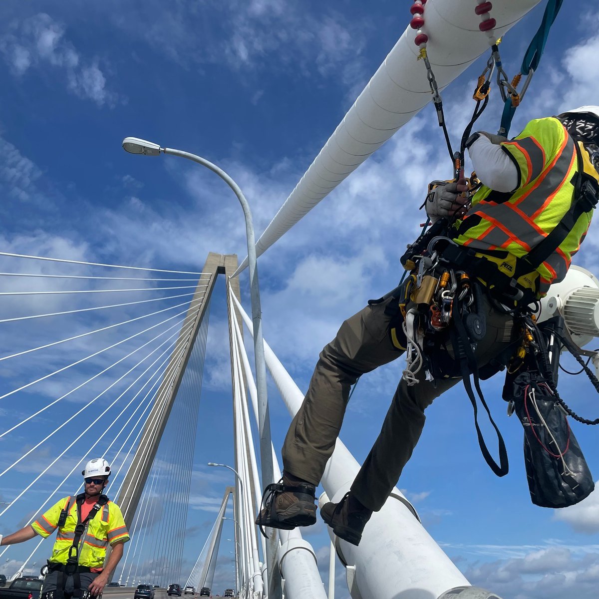 elevatedsafety's tweet photo. East Coast cable-stayed bridge inspection day ops!

#sprat #ropeaccess #petzlprofessional #harkensafetyrescue #cmcpro https://t.co/GydNC7pbx5