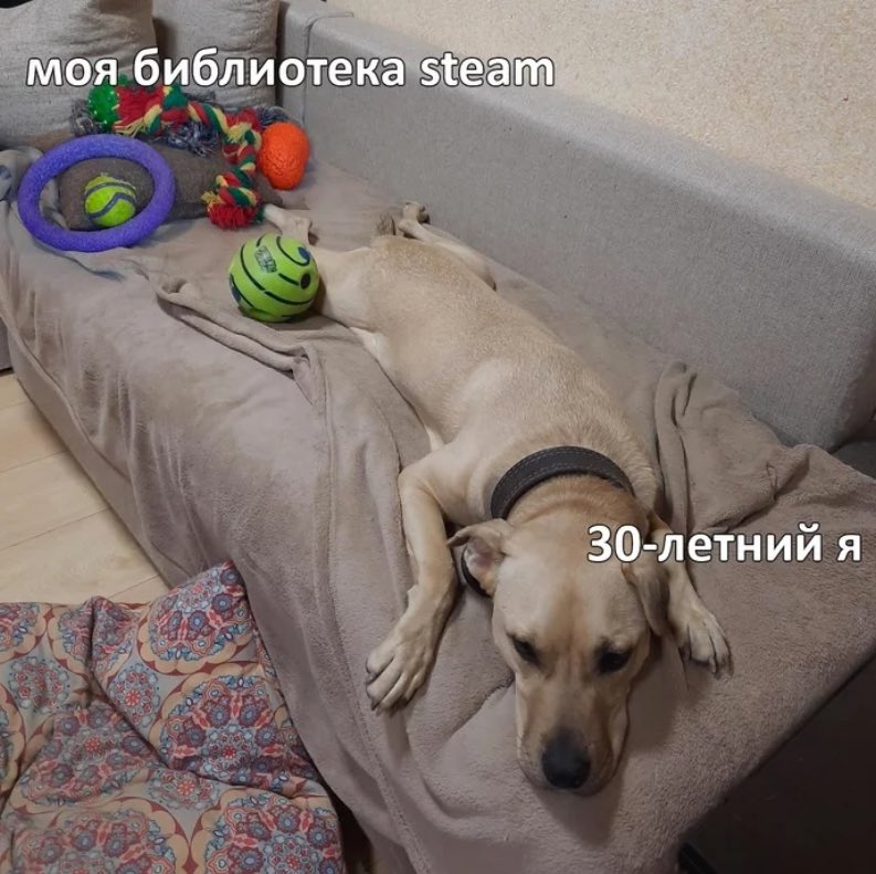 Tazique Ogurtsoff tweet media