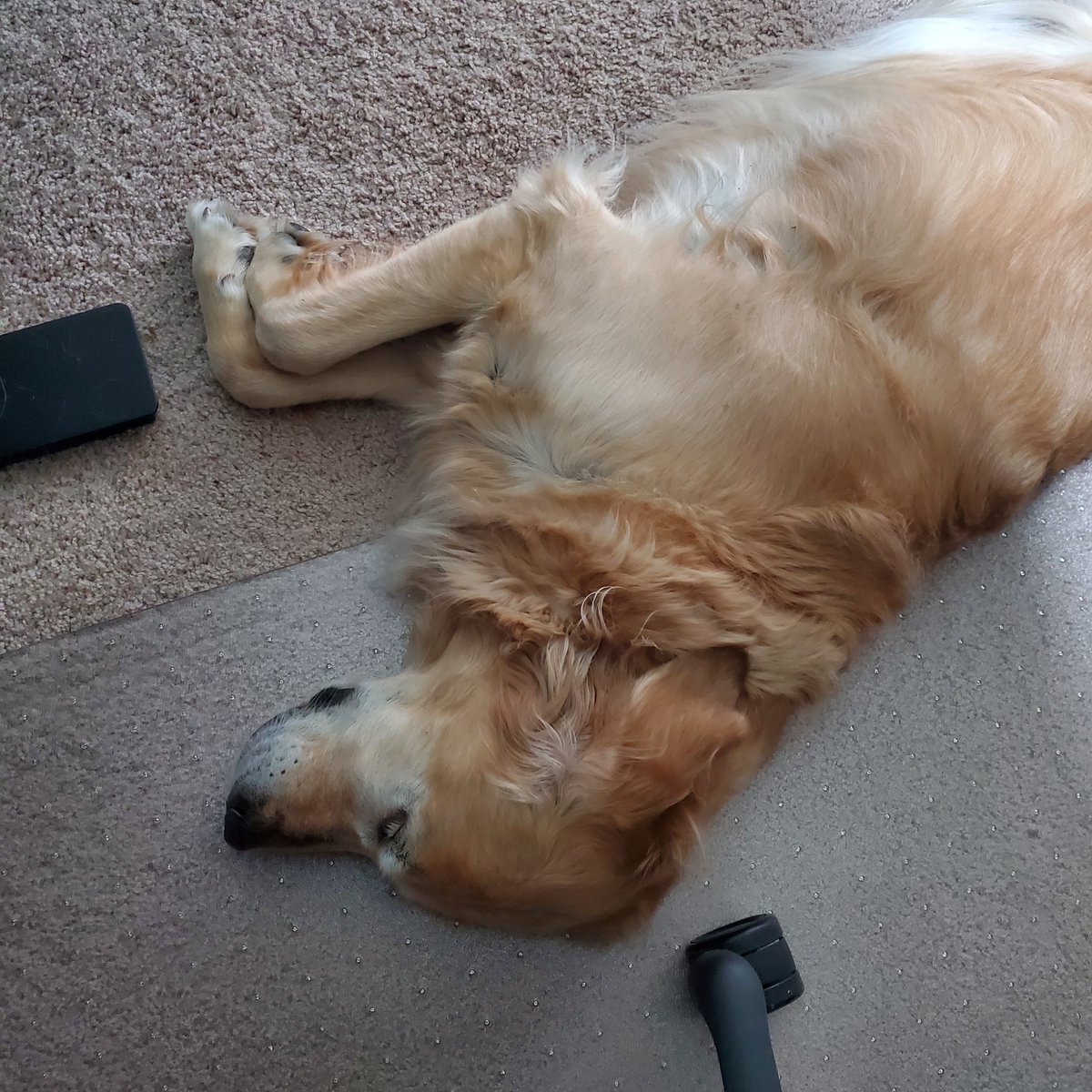 Keeping me company while I work on show notes.