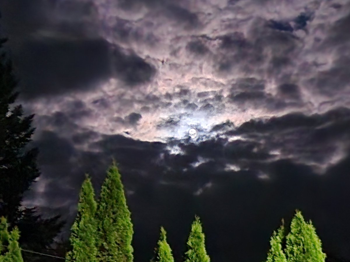 Eerie night sky #alexandriabay #cozymystery