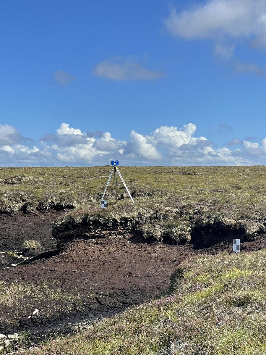 guaduneth's tweet photo. Amazing sunny ☀️ day in Forsinard - Scotland 🏴󠁧󠁢󠁳󠁣󠁴󠁿 collecting our surface changes on blanket bogs 🌱 3 years, 6 countries, 15 sites 😃 @ntu_research @WAN_LIFEIP https://t.co/7f5FU1aFUw