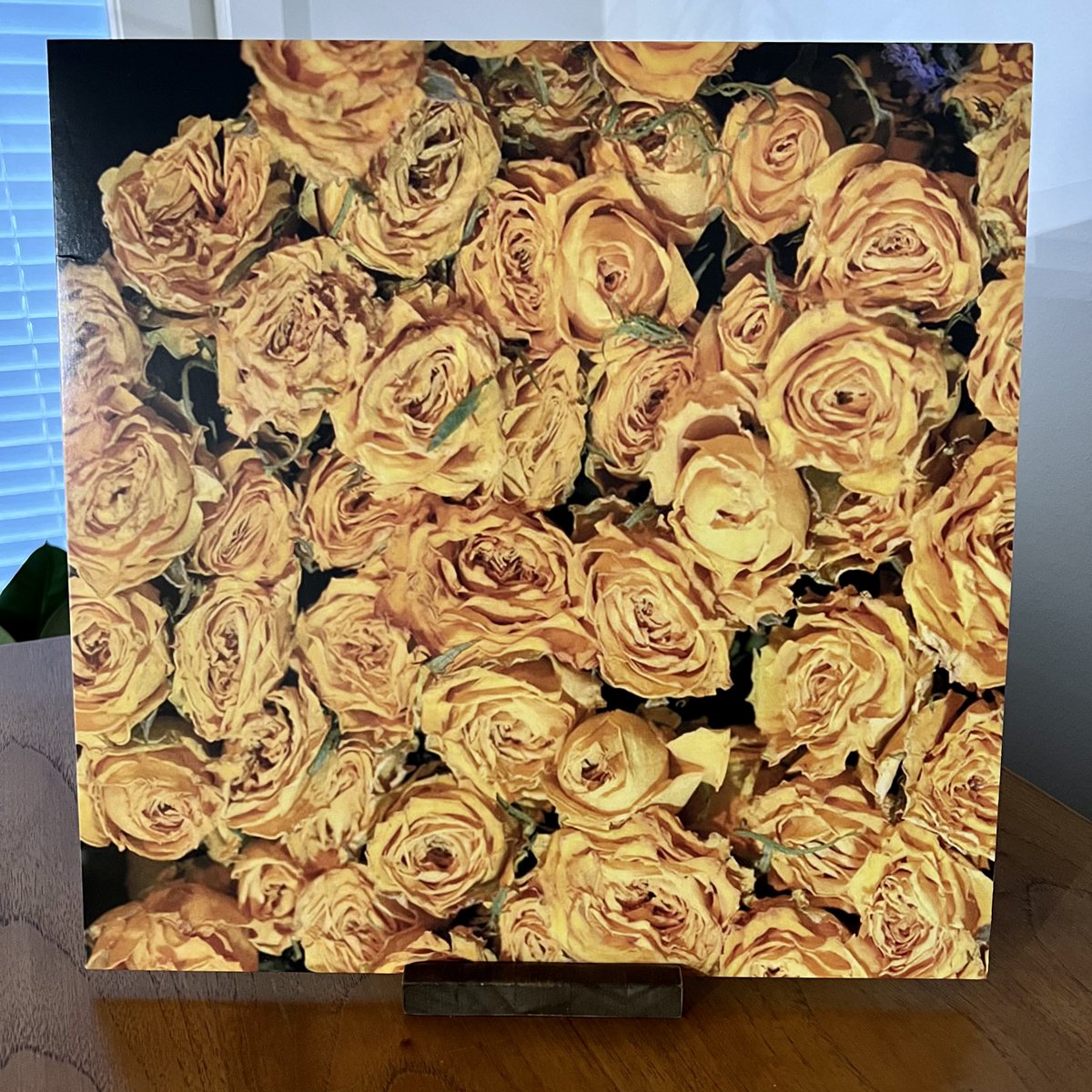 jussiertio's tweet photo. 🎶"I would sacrifice it all for you / But I don’t wanna be, wanna be a fool"🎵

Not Waving – The Place I’ve Been Missing 

#NotWaving @NOTWAVINGG
#nowspinning #vinylrecords #vinylcommunity https://t.co/O2auJYq3Hn