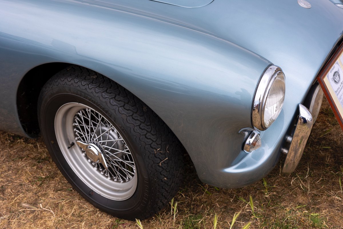 HallPhotographic tweet media