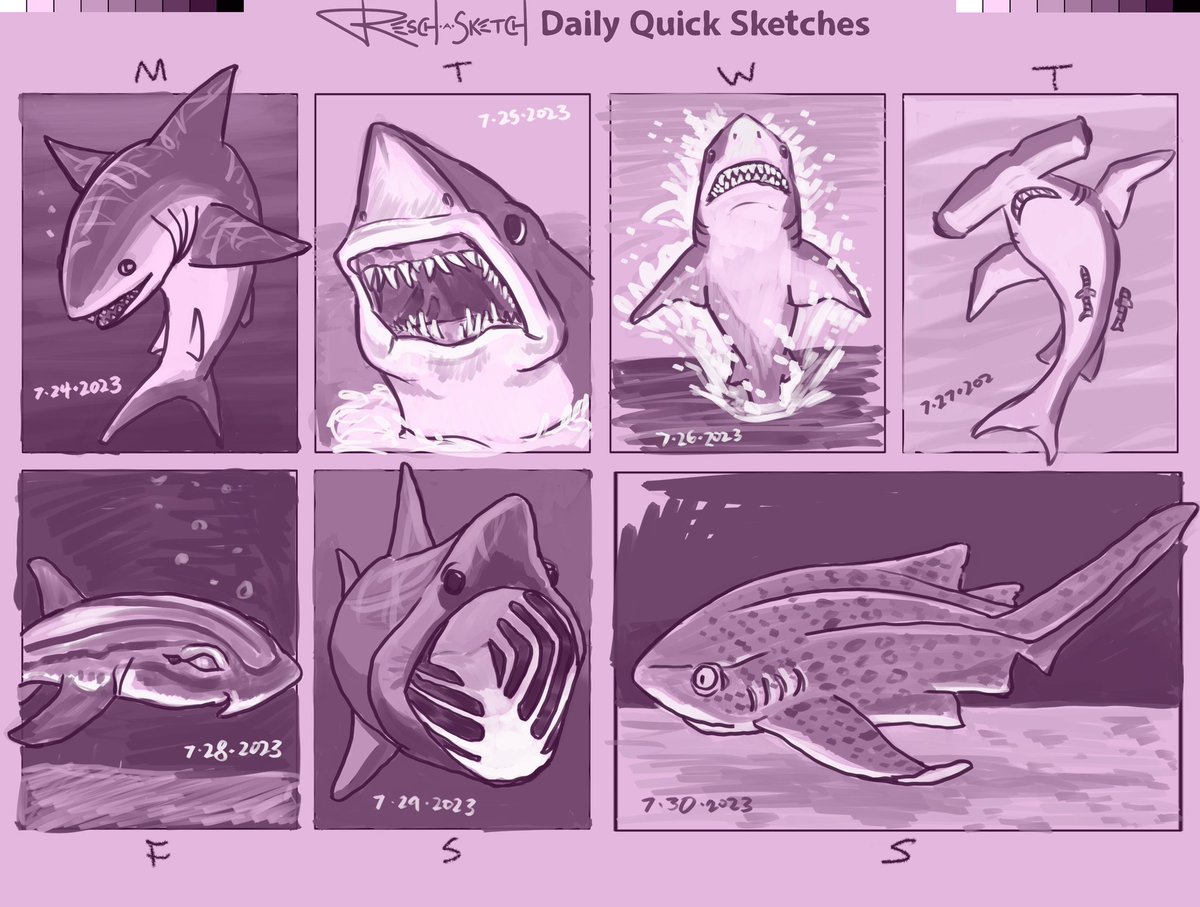 reschasketch's tweet image. All my #dailysketch output from #SharkWeek #SharkWeek2023 . There were a ton of great shows this time, plus #JasonMomoa having the time of his life.